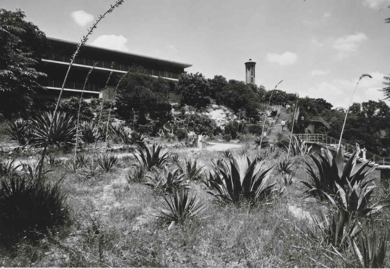 Black and White image of Trinity buildings and Tower